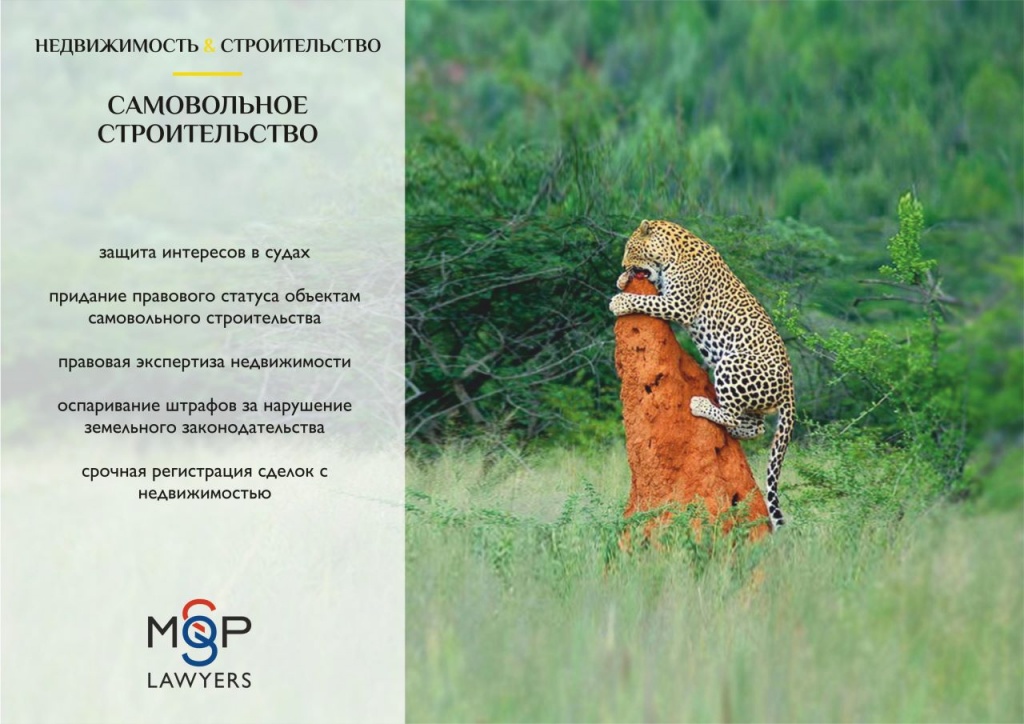 MGPLawyers-05-1.jpg MGPLawyers-05-1.jpg