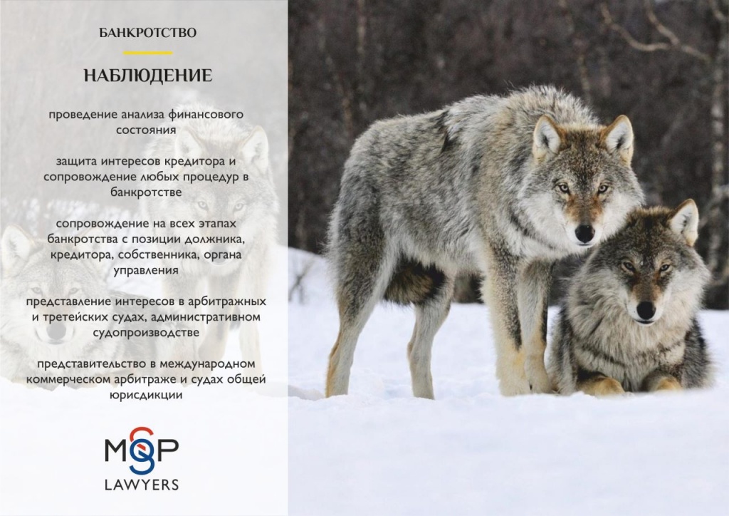 MGPLawyers-09-1.jpg MGPLawyers-09-1.jpg